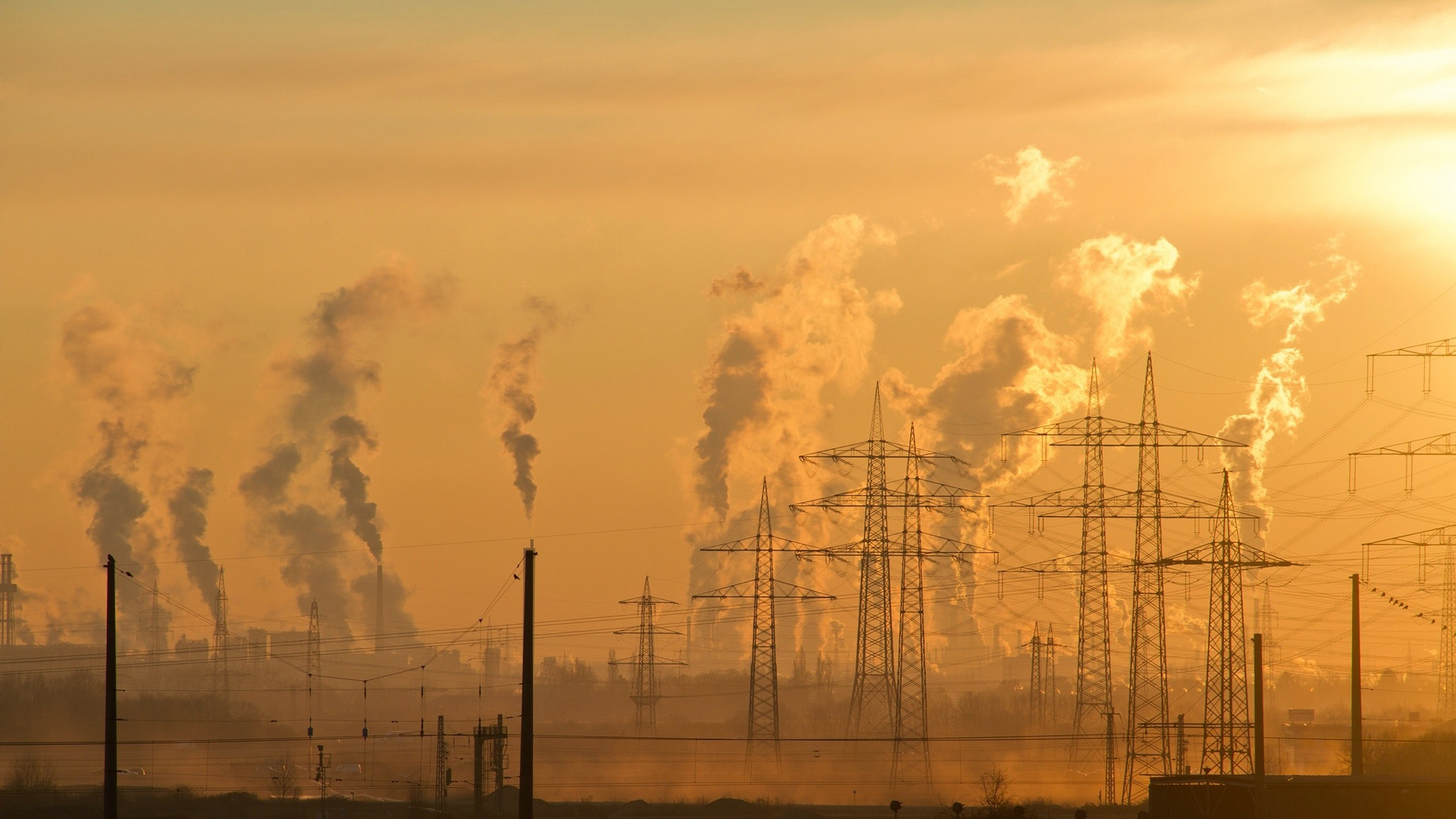 Photo showing gases rising behind electricity pylons