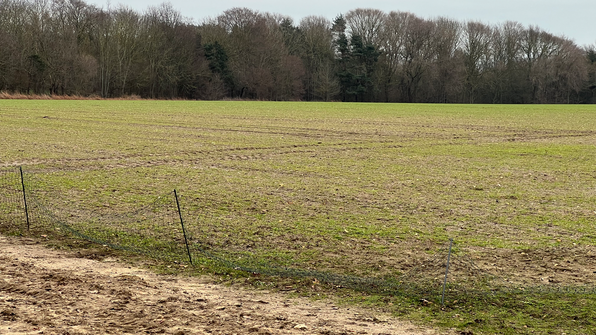 Photo showing empty field at Howlett Way