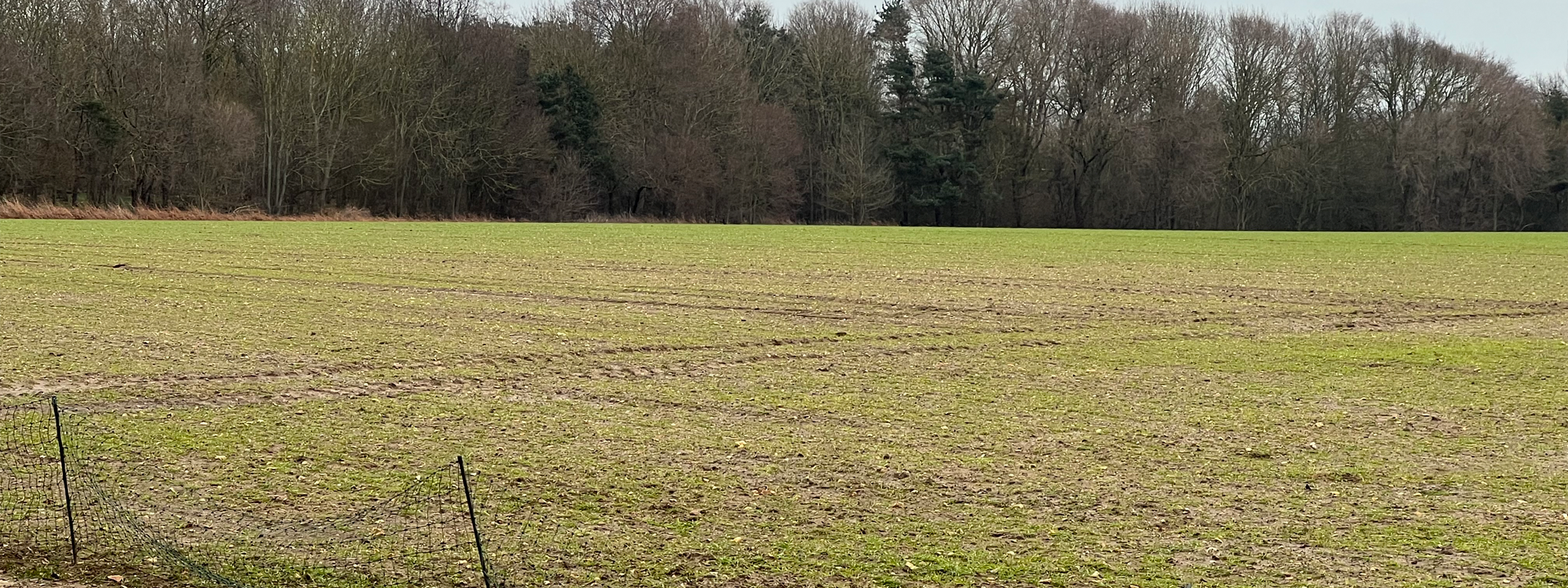 Photo showing empty field at Howlett Way