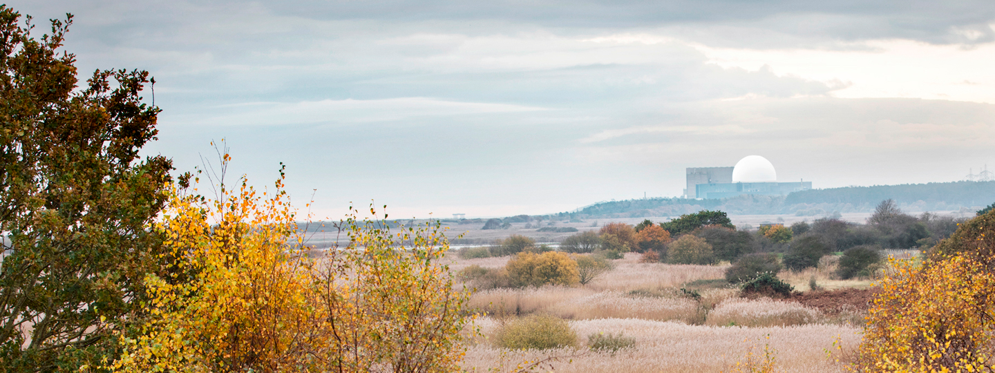 Photo of Sizewell C